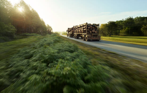 Transport, Transportation, Holztransport, Industriefotografie, Kunde EGGER HOLZ